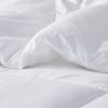 Energy Recovery Oversized Down Alternative Comforter - as Pic