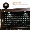 Lockable Wall Mount Mirrored Jewelry Cabinet with LED Lights - brown